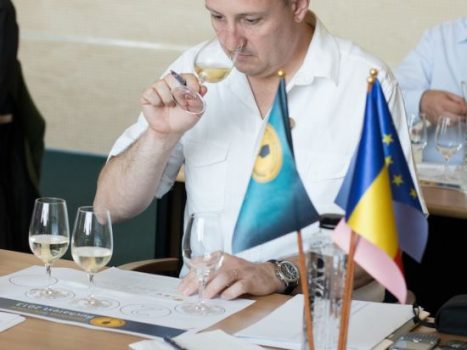 blogger-horodnic-laurentiu