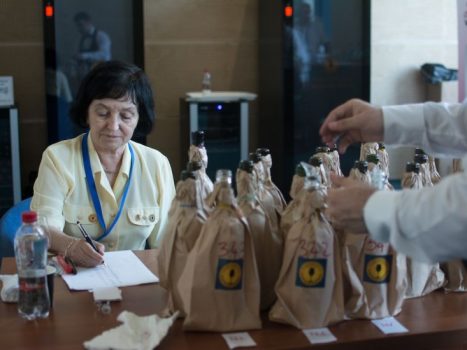 comisia-tehnica-gabriela-arion