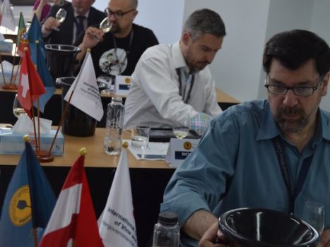 iwcb-2015-ziua-1-jurizare