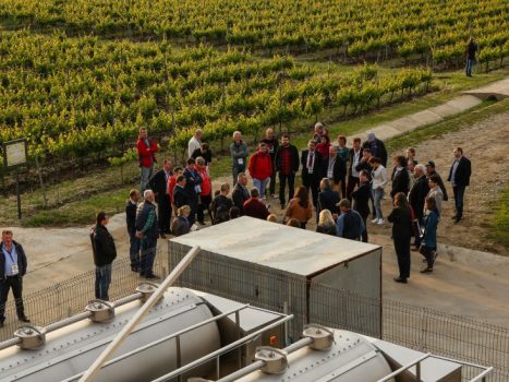 iwcb-2016-crama-girboiu-1