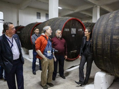 iwcb-2016-ziua-1-crama-carligele