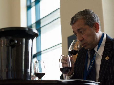 jury-georgel-costache