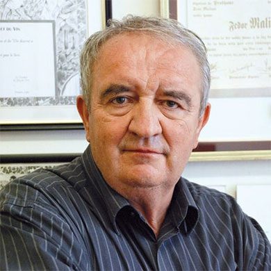 fedor_malik