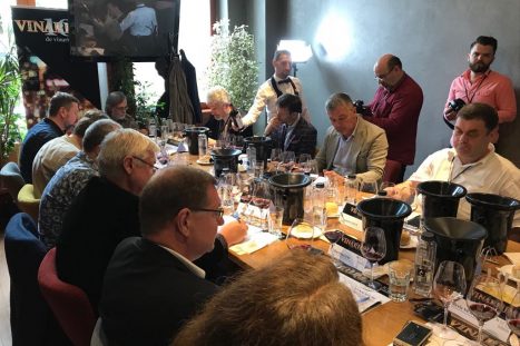 42573053_253357815369205_3122869398071672832_n