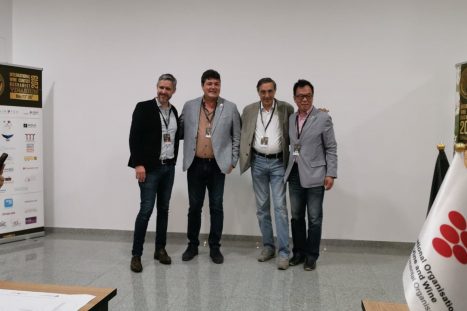 60962069_2330190850398177_9184236273378787328_o_2330190847064844