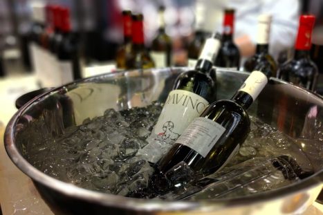 61042697_2330158767068052_670475133986537472_o_2330158760401386