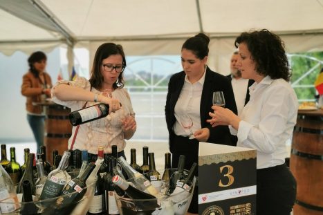 61205363_2333862510031011_4650720111437545472_o_2333862500031012