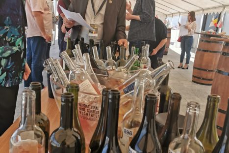 61251196_2333861973364398_3886885032819687424_o_2333861963364399