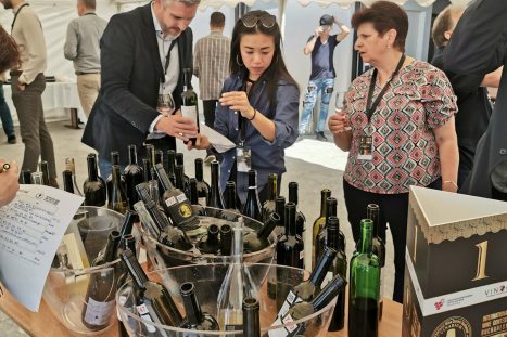 61300266_2333862293364366_6990075367482458112_o_2333862290031033