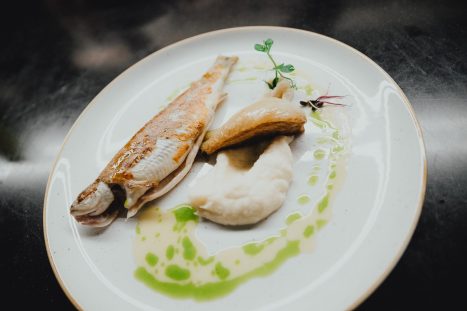 61355414_2334518006632128_7510266739628703744_o_2334517993298796