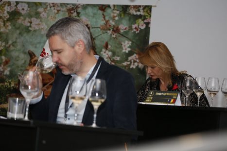 61373945_2333905353360060_276739294230478848_o_2333905346693394