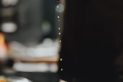 61433769_2334518233298772_382403319437459456_o_2334518226632106