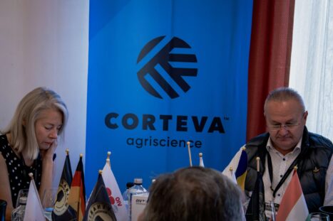 IMG_0321-Enhanced-NR