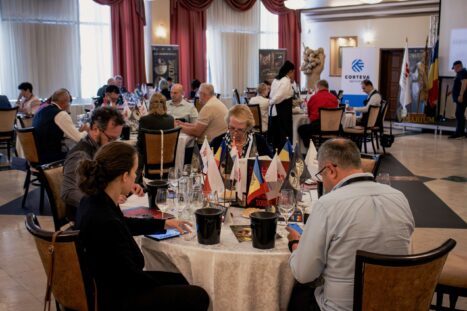 IMG_0363-Enhanced-NR