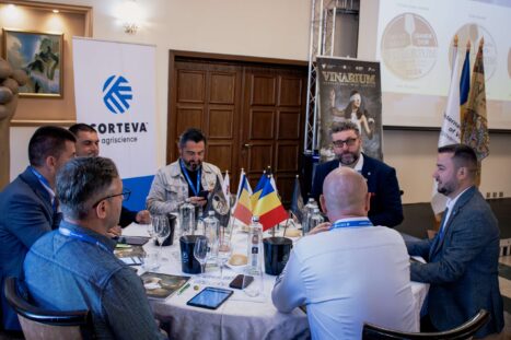 IMG_0403-Enhanced-NR