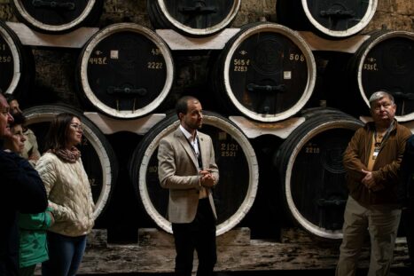 IMG_2550-Enhanced-NR