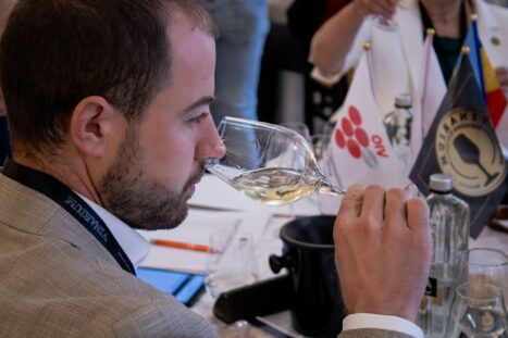 IMG_8686-Enhanced-NR