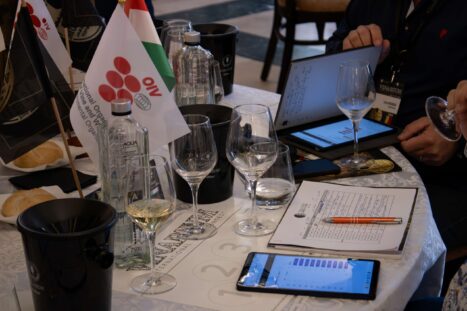 IMG_8802-Enhanced-NR