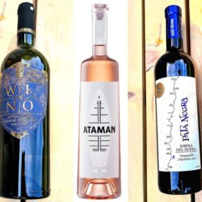 Recenziile Criticului de artă Adrian BUGA