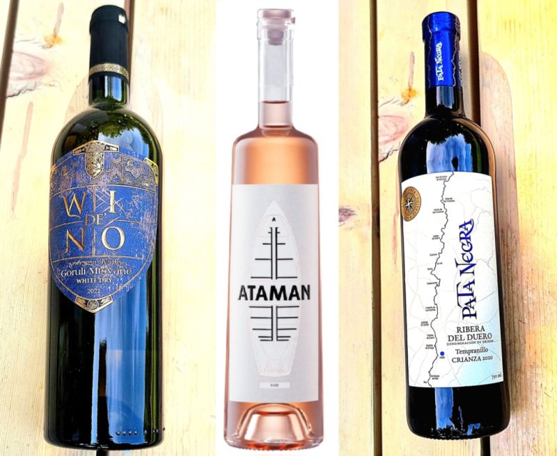 Recenziile Criticului de artă Adrian BUGA