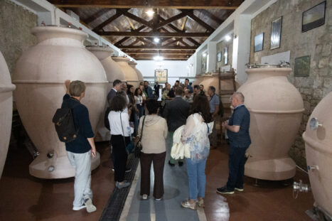 Vinarium 2-41